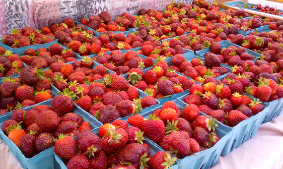 FarmersMarket FarmersMarket