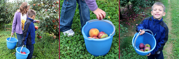 SteriliteBucket_OctoberPost