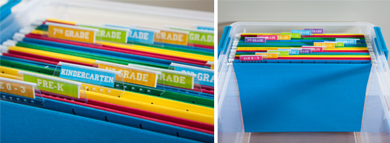 Sterilite-MemoryBox-Folders Sterilite-MemoryBox-Folders