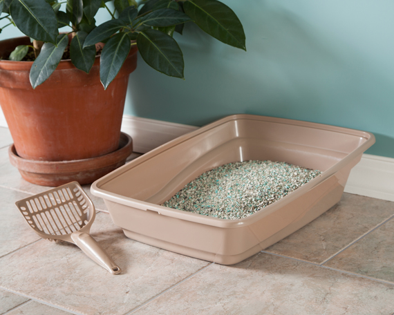 1301-1303-Bath 1301-1303-Bath