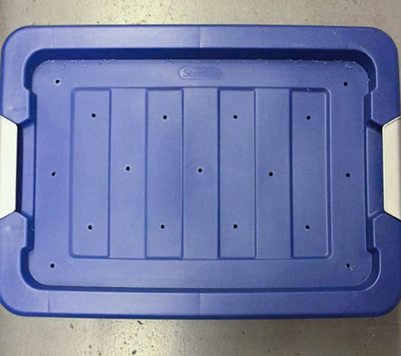 IMG_1074-blog - top IMG_1074-blog - top