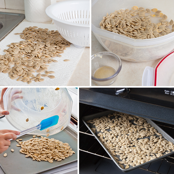 PumpkinSeed-Collage2