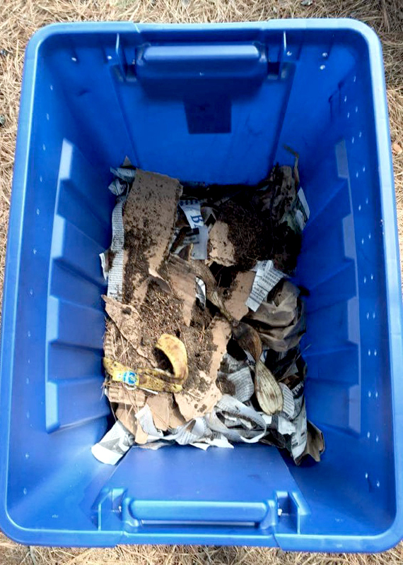 IMG_1076-blog IMG_1076-blog