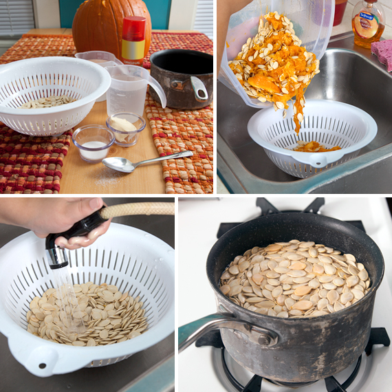 PumpkinSeed-Collage1