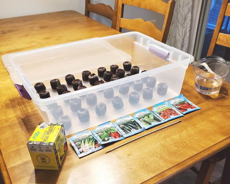 1755-Seeds-04 1755-Seeds-04