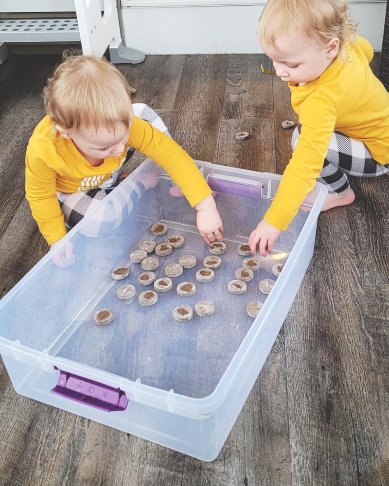 1755-Seeds-01 1755-Seeds-01