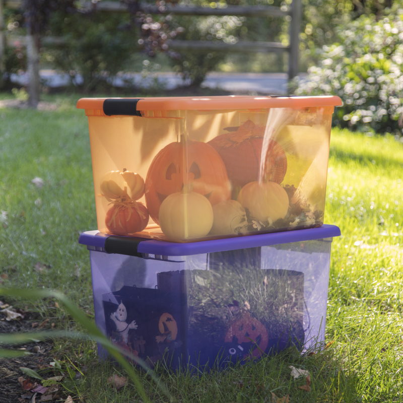 14973706-Lifestyle-Halloween