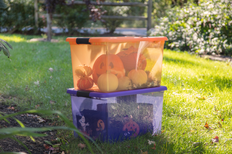 1497-Halloween 1497-Halloween