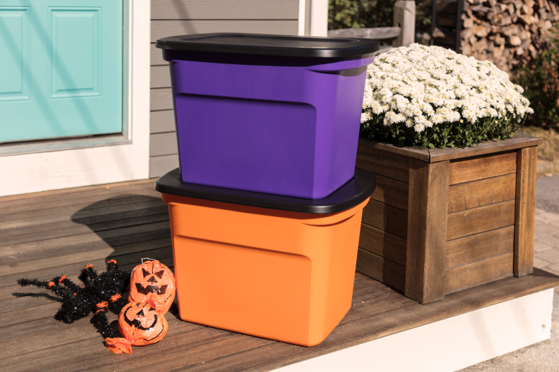 1731-Halloween 1731-Halloween